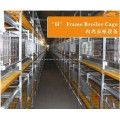 Broiler-Käfigsystem für Geflügelfarmgeräte